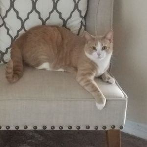 When you bundle 3 or more items, get 20% off!